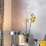 Petrova Attic Lägenhet *