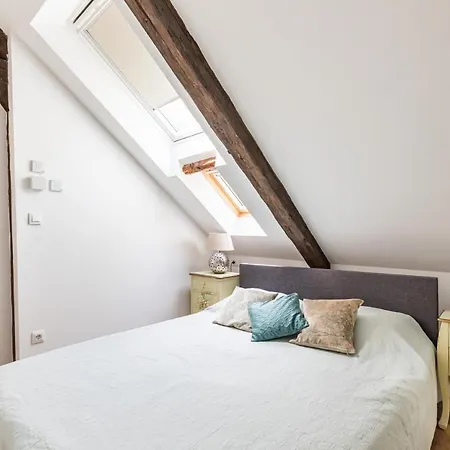 Apartment Petrova Attic