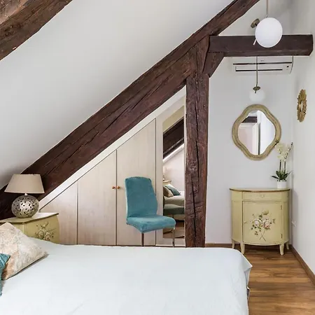 Apartment Petrova Attic *