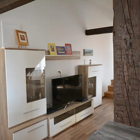 Apartment Petrova Attic