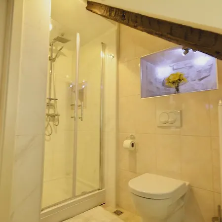 Апартаменты Petrova Attic *